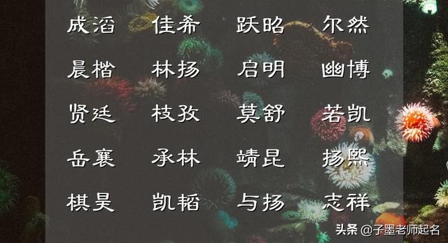 宸字取名的寓意，宸字取名的含义是什么（刚强有劲的男孩名字，霸气横露）