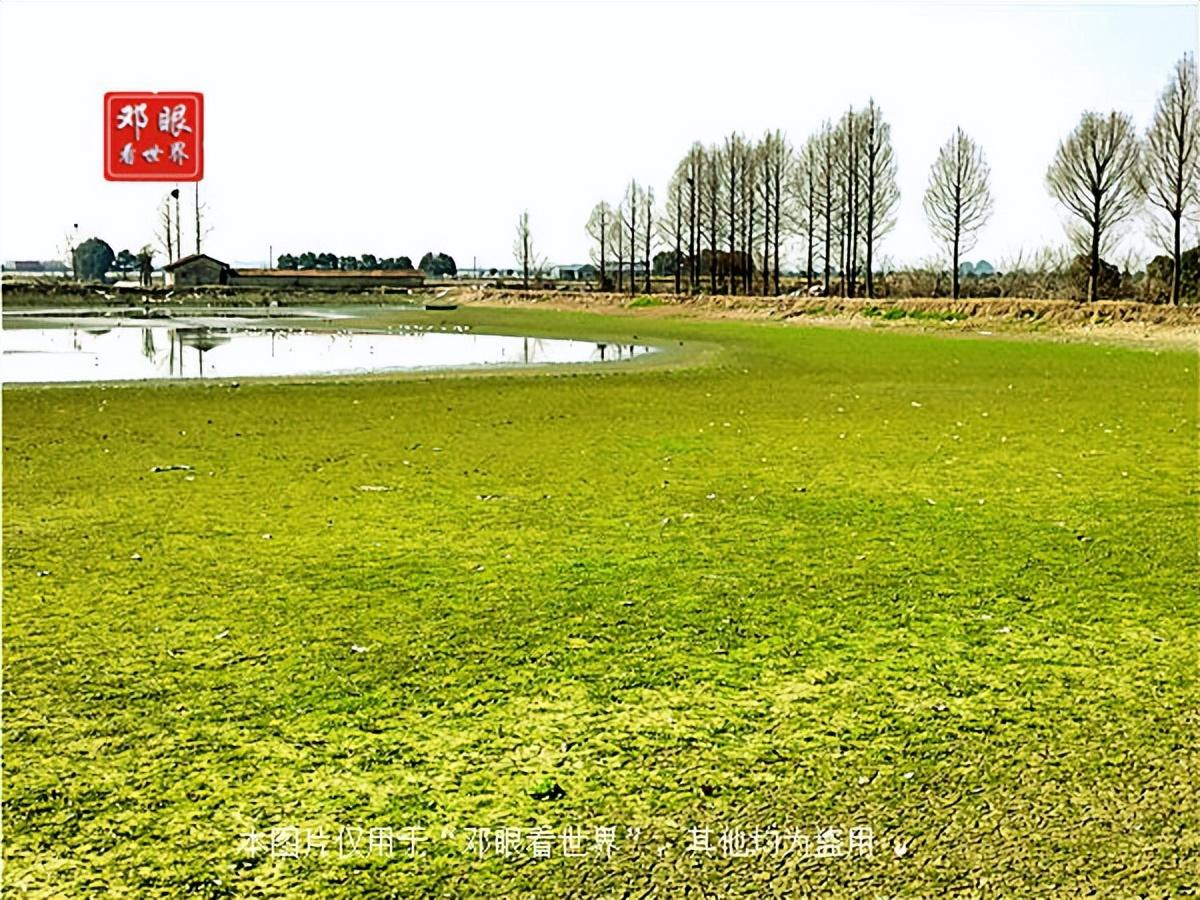 江汉平原在哪(长江中下游平原包括哪些城市)