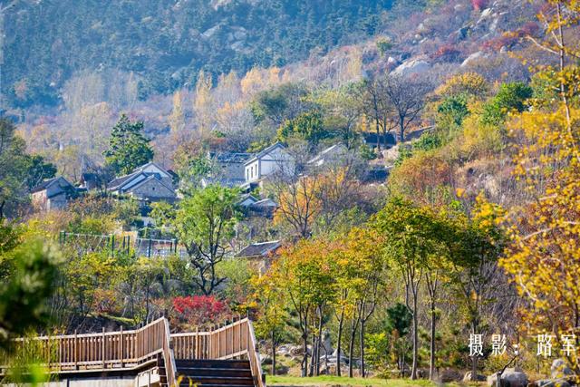 天蒙山简单介绍，天蒙山多高（天蒙山中的冬日美景）