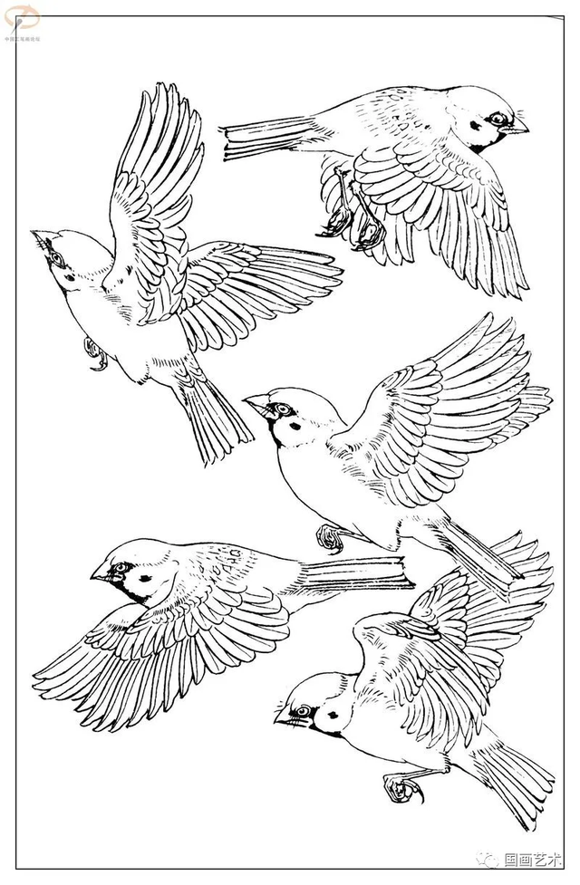 火的简笔画图片，火焰怎么画简笔画图片（画鸟参考——白描麻雀百图）