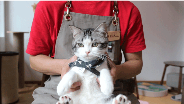 杭州工作好找吗，请问杭州工作好找吗（大学生们的就业面又宽了）