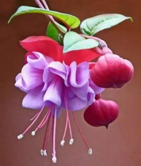 夸赞女人漂亮的句子，夸女人的美言佳句（女人如花，绚烂绽放，活出精彩）