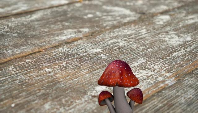 地砖的多种铺法，地砖的铺设有几种方法（还是贴瓷砖好）