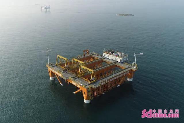 鳆鱼（鳆鱼怎么读），如何挑选鳆鱼（2021登州“苏公日”和“海市会”）