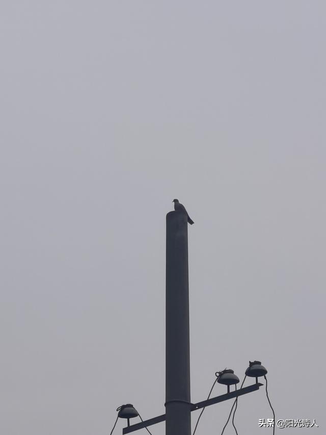 sunshine的意思，youaremysunshine的意思（爱是存在于世上的意义）