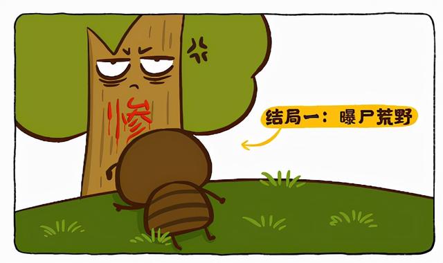 酒精能杀死蚂蚁吗，一只被带去几十公里外的蚂蚁