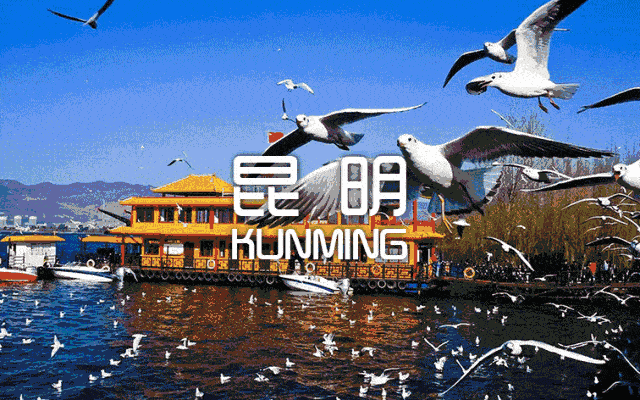 花城是指我国哪一城市，花城是哪个城市（你知道“昆明”这个名字的由来吗）