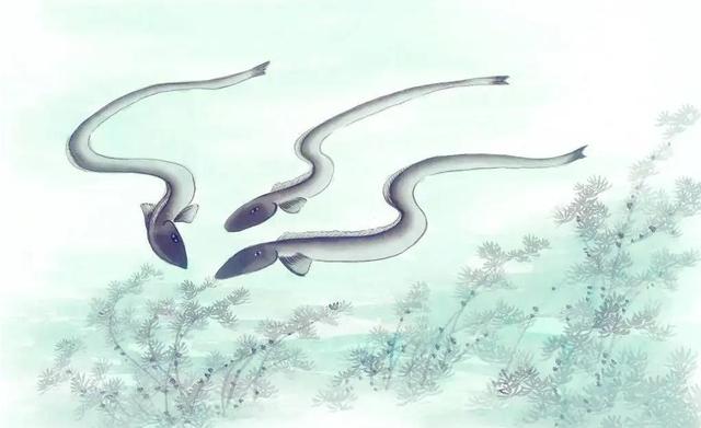 黄鳝是雌雄同体吗，为什么雌黄鳝会变成雄黄鳝（湖北男子挖出3条“巨型”鳝鱼）