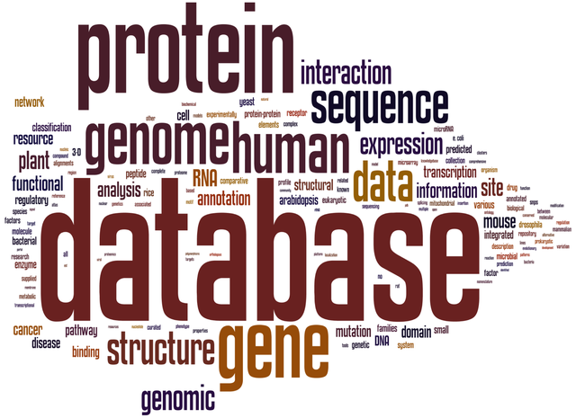 g图是什么意思,g是什么意思(17.生物大数据背后的系统图像是什么)