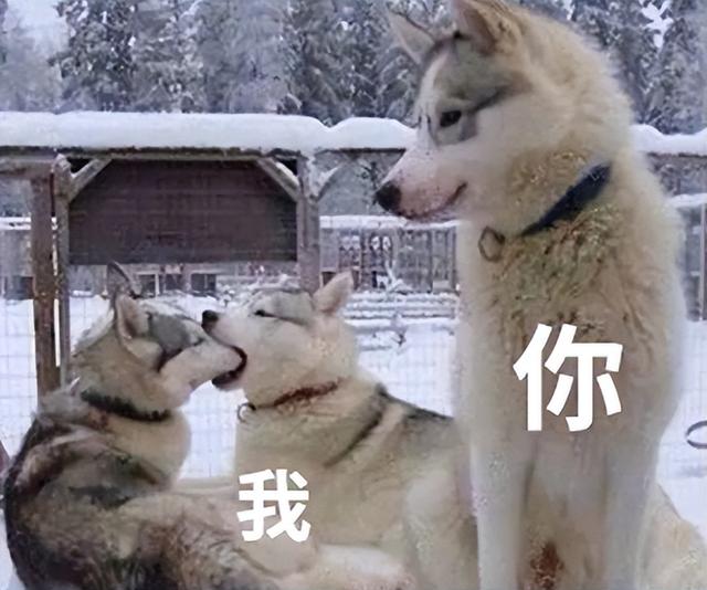 内衣跑杯的原因，内衣穿着穿着就跑杯了的原因有哪些（伤颈变丑还越睡越累）