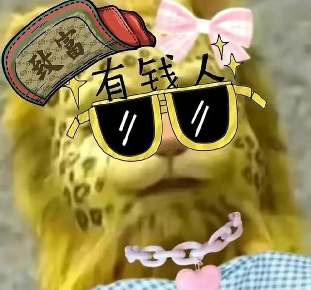 金钱豹头像图片，金钱豹头像✨微信（最全金钱豹头像！请叫我谢谢）