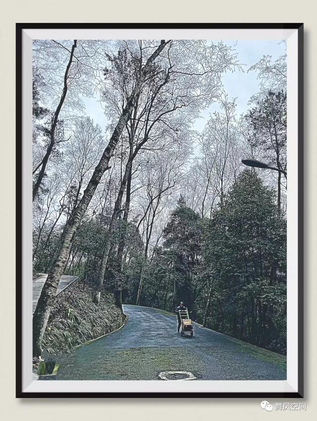 遵义凤凰山森林公园攻略，雨水，遵义，凤凰山