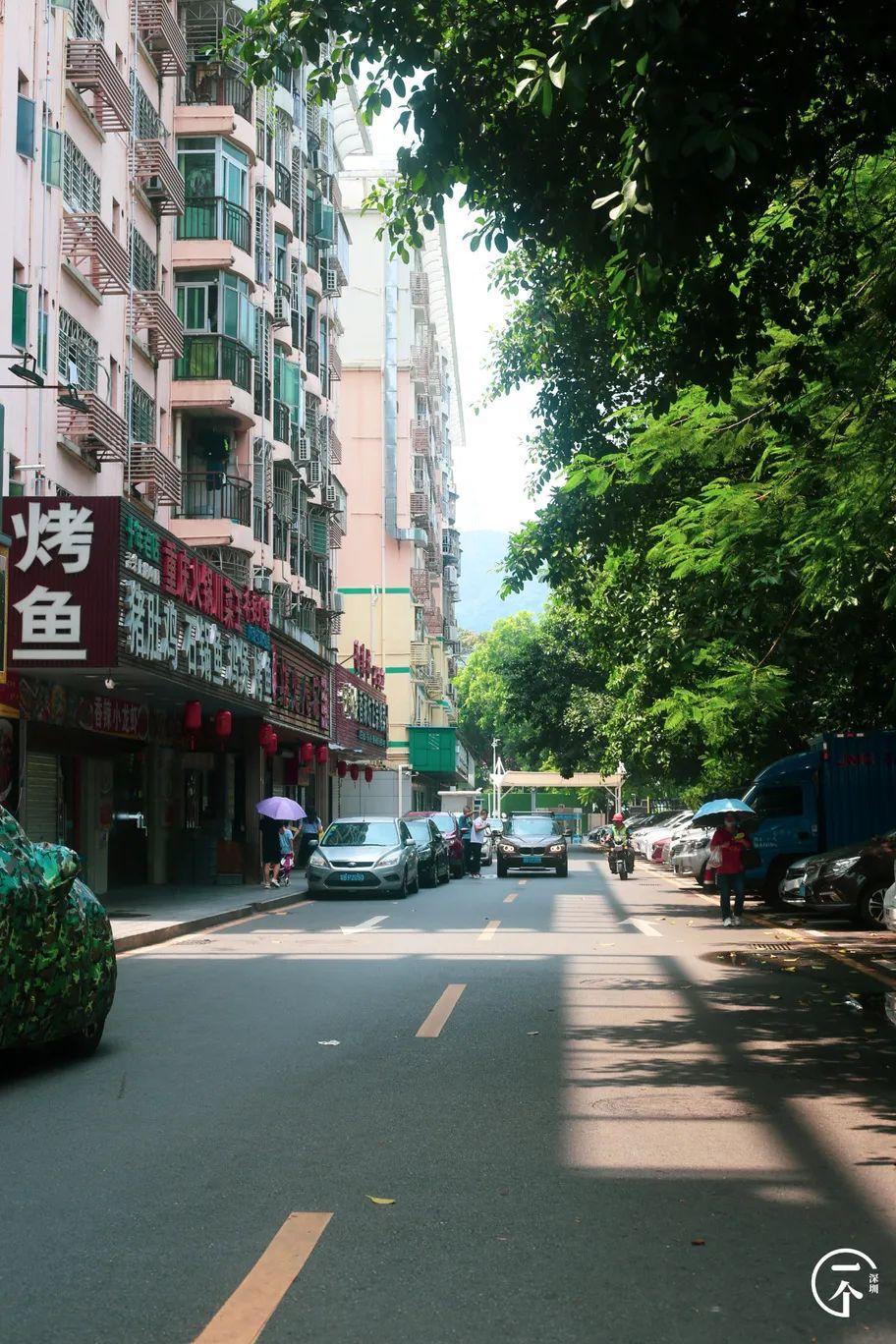 深圳北在哪个区(深圳西站在哪个区)
