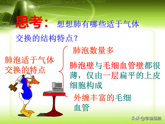 人体八大系统顺口溜，人体九大系统的顺口溜（期末必考考点——人体的八大系统）