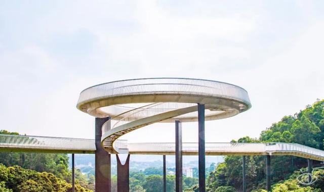 深圳旅游景点大全介绍，深圳的旅游景点有哪些地方（来深圳这10个地方玩吧）