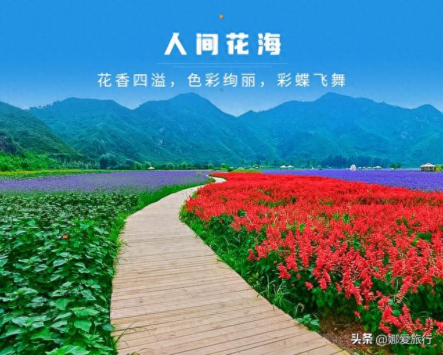 赏花登山逛古村の秘境人间花海-云岫谷狩猎风景区-遥桥古堡