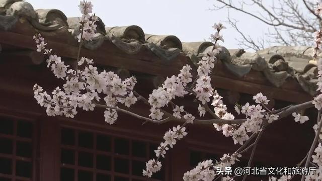 正定旅游景点有哪些，正定的旅游景点有哪些（微游河北<20>）