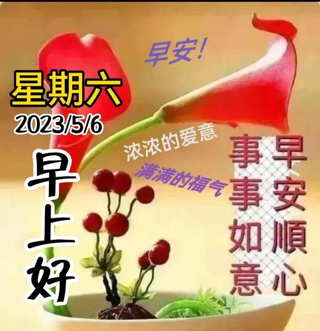 早安问候语每日更新，早上好短句早安问候语每日更新（亲切的暖心问候语）