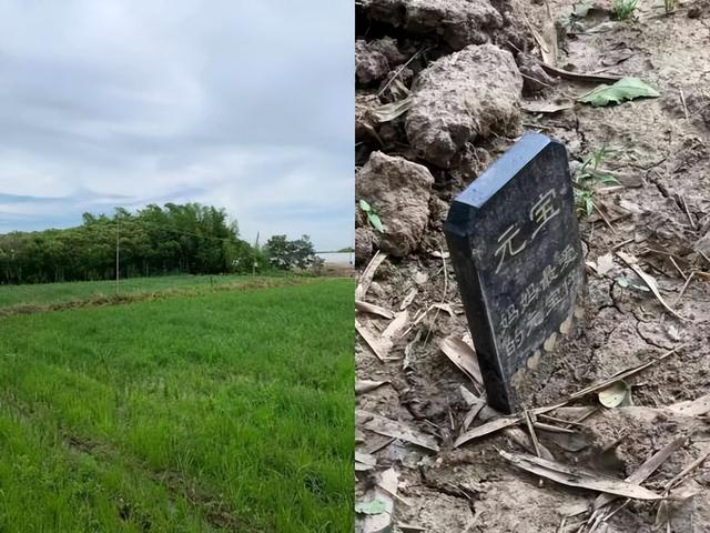 梦见整个房间东西全是白色的，梦见家里全是白色（曾花39天搜寻一只猫咪……“宠物侦探”你听过吗）