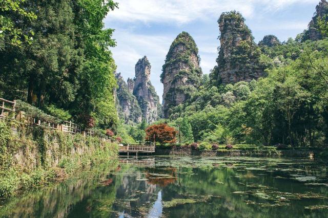 张家界国家森林公园，关于张家界国家森林公园（魅力湘西——张家界）