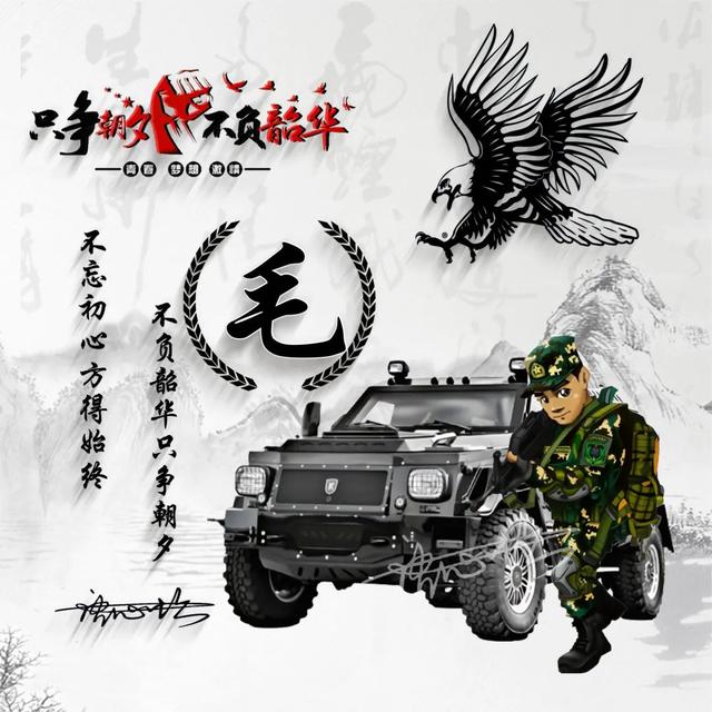 牛马头像微信，牛马头像（60款军人专用头像送给你）