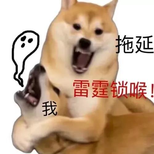 狗的土味方言，一些土味小狗怪图，收了