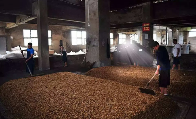 蝎子泡酒正确方法，蝎子泡酒的功能和作用（才明白泡酒原来那么容易）