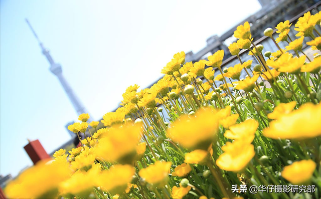 校正和矫正的区别，纠正匡正改正校正各个词的意思纠正匡正改正校正分别解释（如何使用白平衡功能渲染色彩）