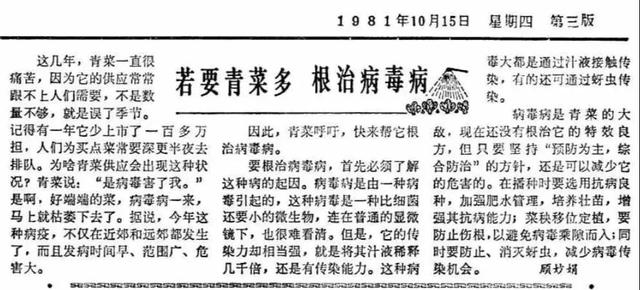 瓢儿白是什么，瓢儿白的学名（油菜、上海青、瓢儿白、鸡毛菜……竟然都是一种菜）