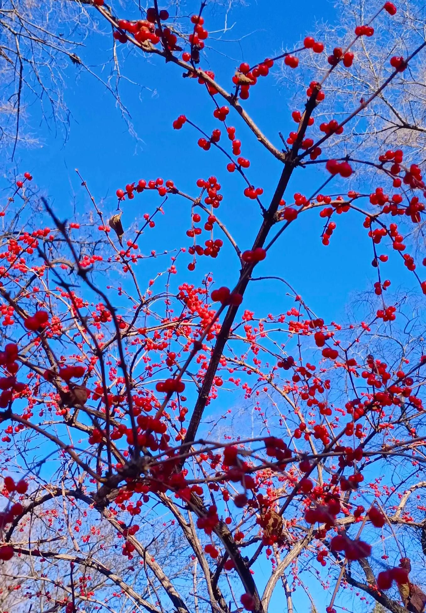 真正的修行是在寺庙里深山中，还是应该在现实生活中？