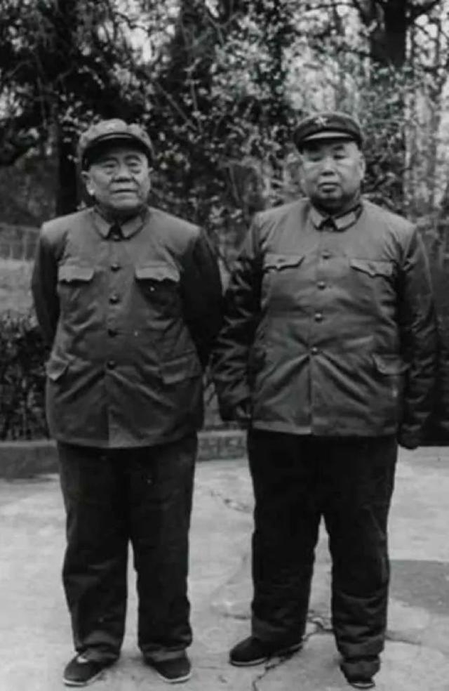 聂风智（聂凤智），聂风智的精彩人生（许世友和聂凤智的“九同”人生）