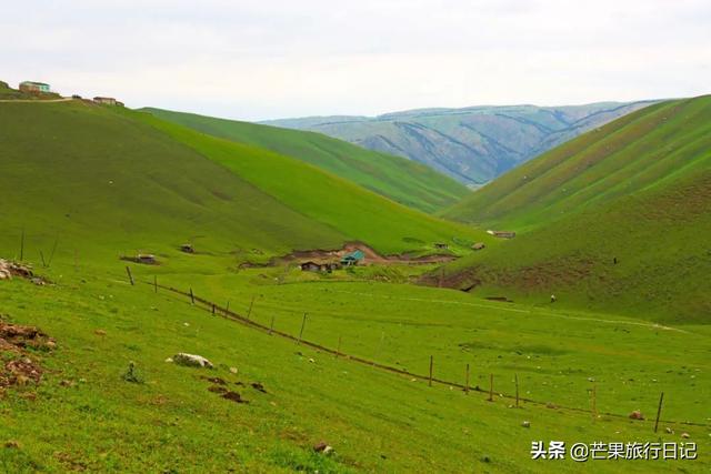 新疆旅游，遇到一位妈妈带着女儿旅行，她说有点后悔带女儿出来了