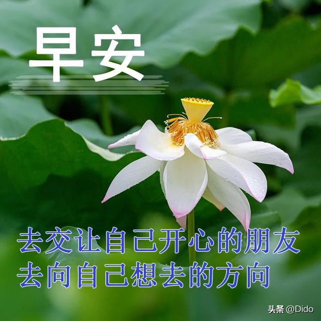 秋天早安心语温暖语句，早安温馨祝福：愿你秋天快乐