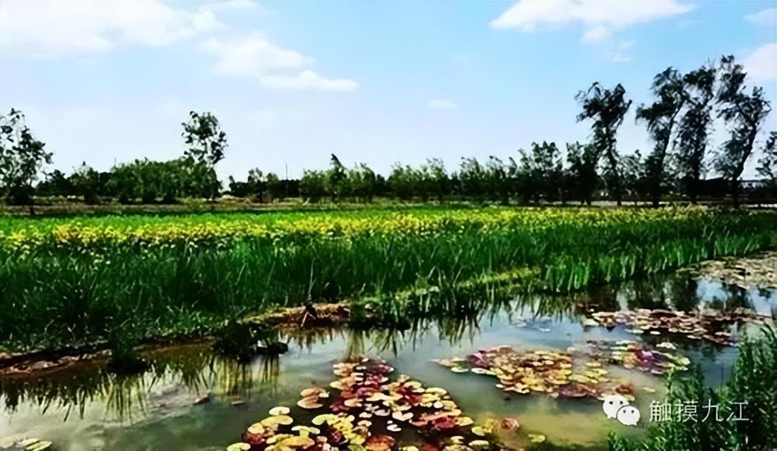 浔阳旅游景点，清凉一夏·追浔季丨九江这12个隐世古村