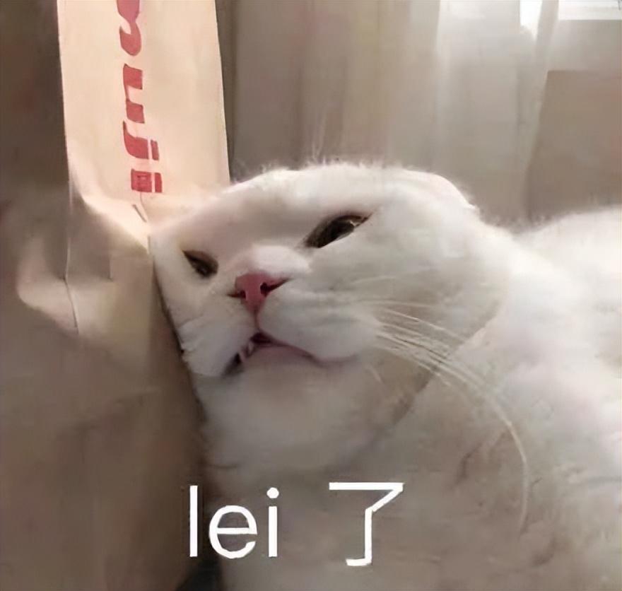 好看的表情包(10000种表情包图片大全)