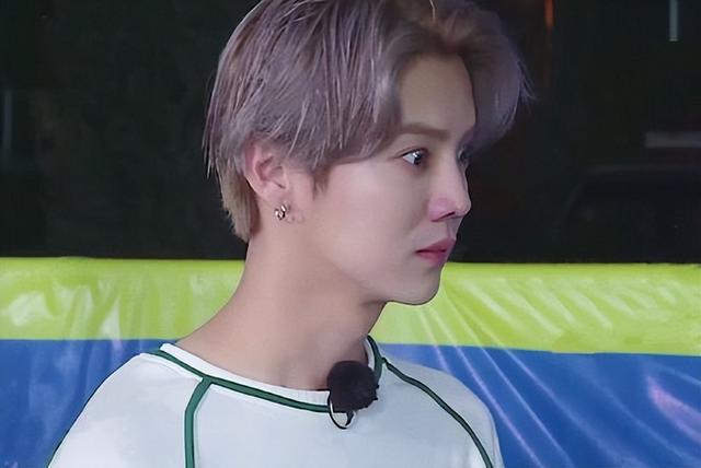 卫生队的故事电视剧剧情，电视剧卫生队的故事演员表（今8位老成员相比）