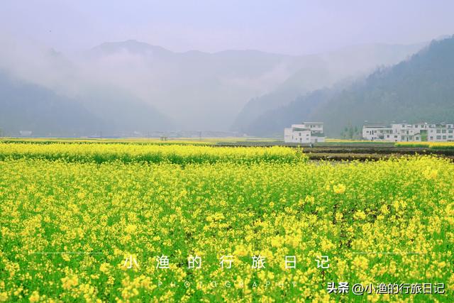 万亩油菜花海游玩攻略，奔赴川陕交界的巴山秘境