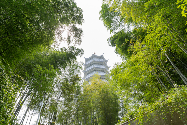 周末和朋友去哪玩，周末和朋友出去玩啥（绝美秋景、养生温泉、水果采摘…都在这条线路里）