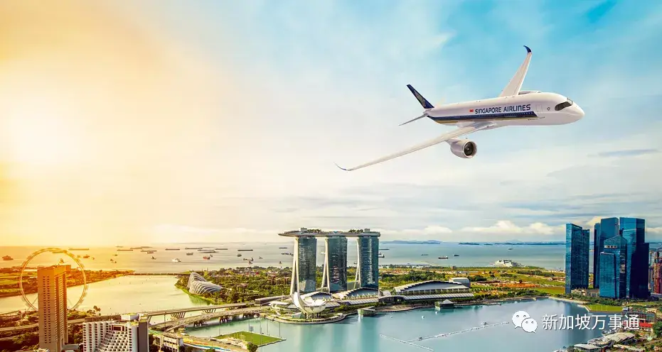 新加坡斯坦福国际学校（名校摇篮）