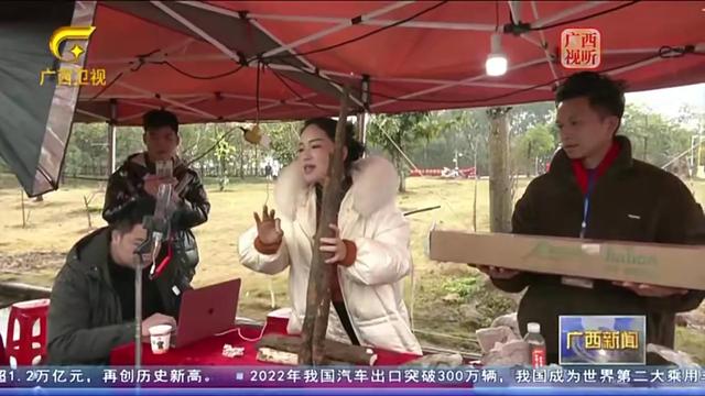 桂平旅游景点大全，广西桂平十大旅游景点排名（没来过广西贵港市桂平市旅游的）