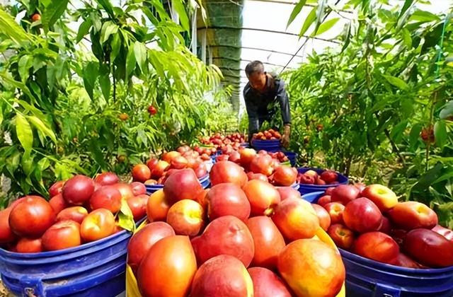 现在什么行业前景好，未来什么行业最吃香（哪些行业比较有着比较好的前景呢）