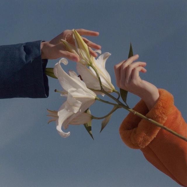 送给闺蜜的生日话暖心，给闺蜜的生日暖心话有哪些（祝闺蜜生日快乐的文案）