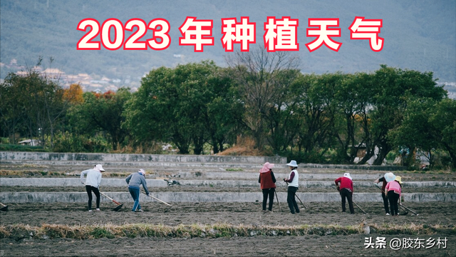 2022年春社日是几月几号，2022春社日是哪一天（农民朋友早看早知道）