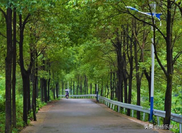 岳阳旅游景点，岳阳旅游景点攻略一日游（湖南-岳阳十景）