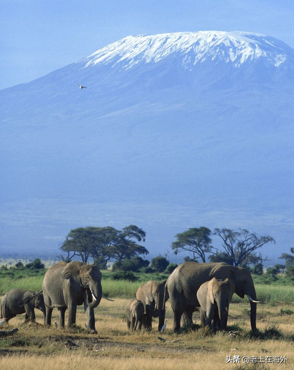 坦桑尼亚首都是哪，坦桑尼亚首都在哪里（坦桑尼亚是一个怎么样的国家）