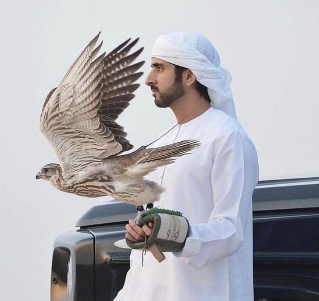 最帅沙特王子哈曼丹图片