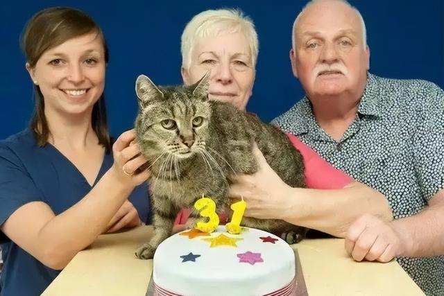 狗和猫哪个好养，宠物店驱虫多少钱一次（猫VS狗，谁的寿命更长）