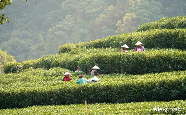 杭州有哪些景区比较值得去，杭州必去十大景区（让你领略自然和人文双重景致）