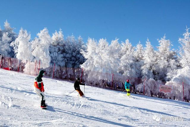 国内适合初学者滑雪的滑雪场，假期嗨起来
