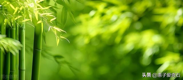 菊花残满地伤下一句是什么，菊花残满地伤的下一句是什么（赞美花中四君子的十二首诗词）